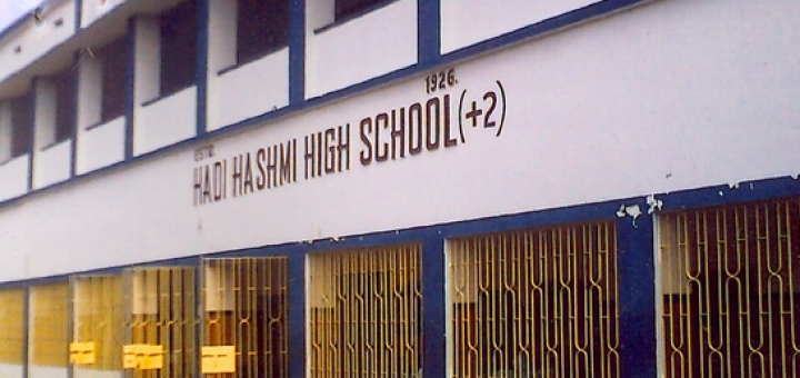 hadi-hashmi-school